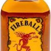 DR. MCGILLICUDDY'S