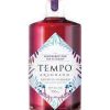TEMPO ARANDANO BLUEBERRY GIN